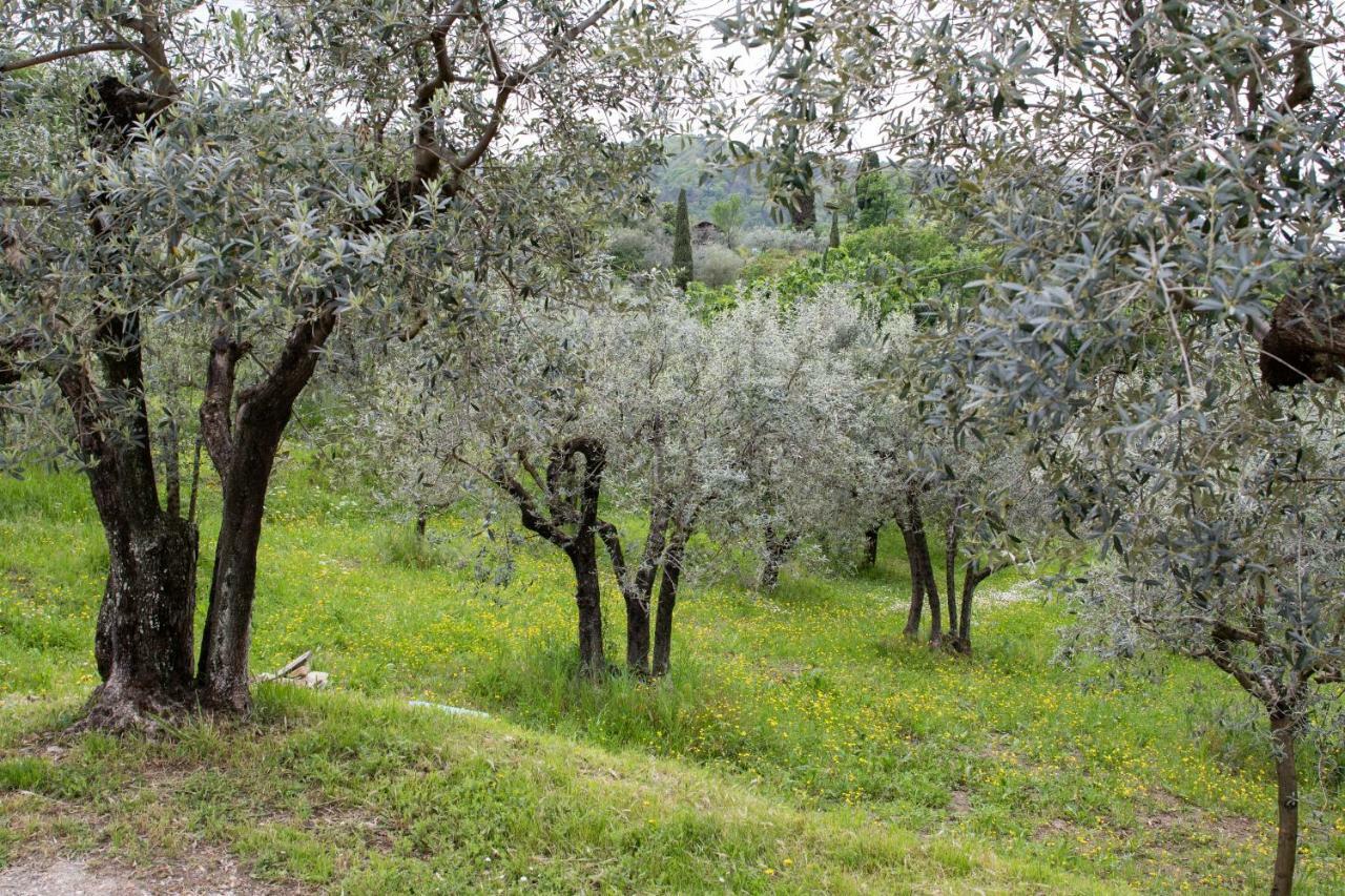 Agriturismo Il Calesse Quarrata Exterior foto